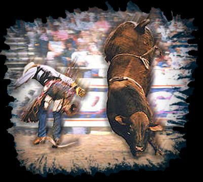 dogface.jpg (79057 bytes)