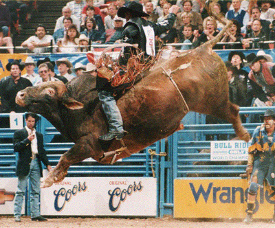 k9.jpg (149948 bytes)